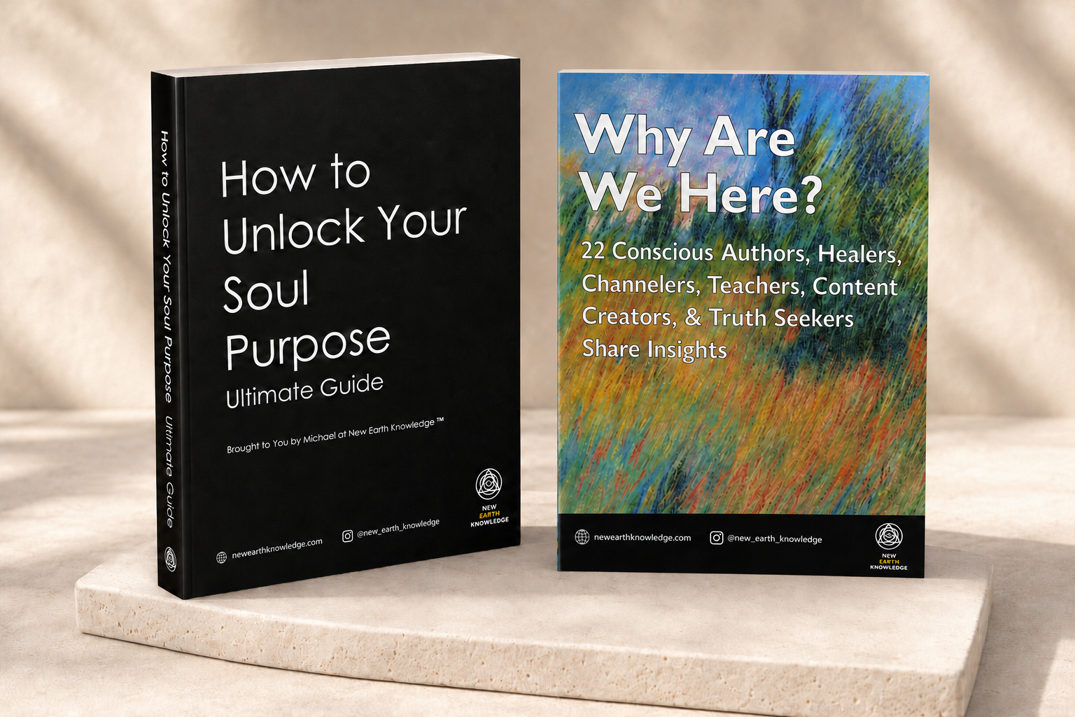 Why Are We Here and How to Unlock Your Soul Purpose ebooks